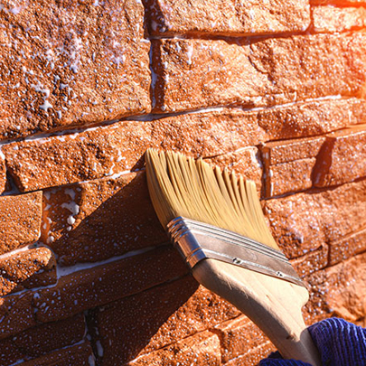 メタンシリコン酸ナトリウム塩