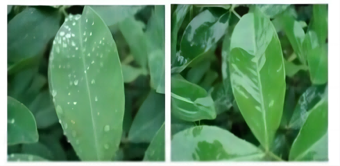 ポリエーテル変性ヘプタメチルトリシロキサンについての話トリシロキサン (HC-YM9362) : 構造特性、合成プロセス、革新的な用途