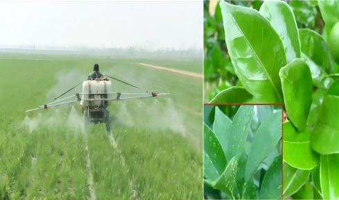 ジメチルジクロロシラン（HC-CM2268）：ファインケミカルの基礎と多様な用途